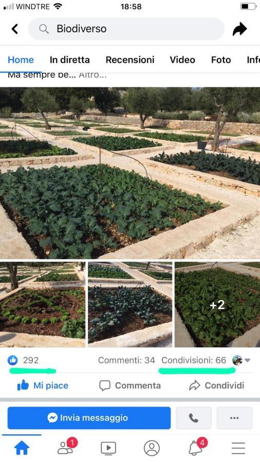 Villa Moresca Dei Trulli Fernando Ostuni Ngoại thất bức ảnh