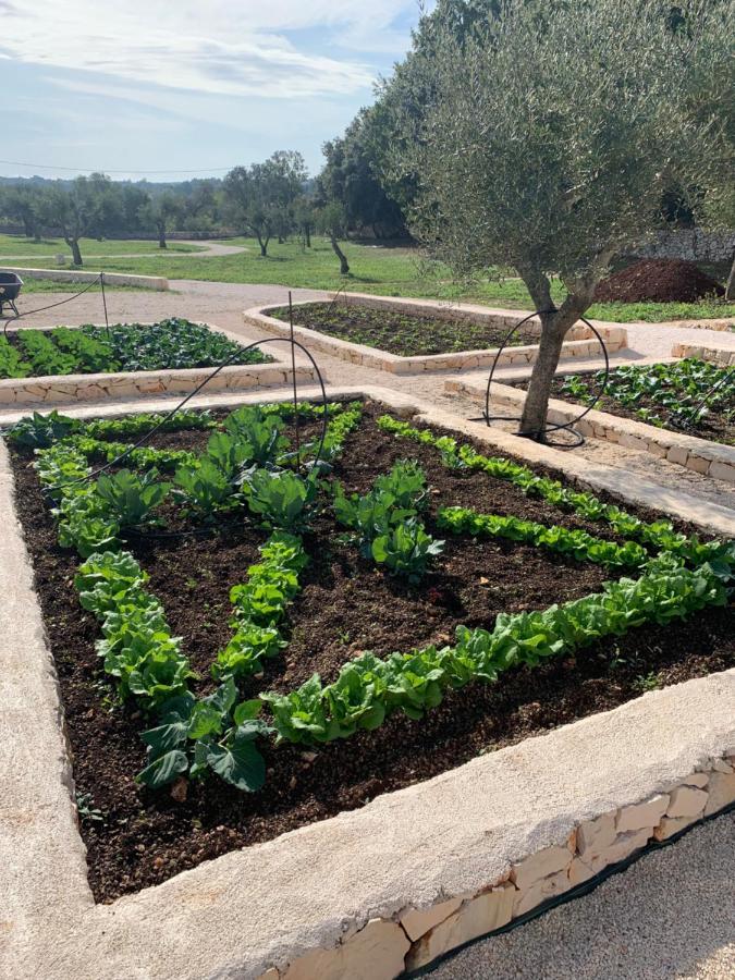 Villa Moresca Dei Trulli Fernando Ostuni Ngoại thất bức ảnh