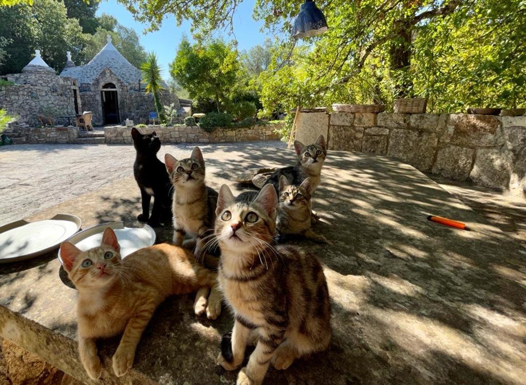 Villa Moresca Dei Trulli Fernando Ostuni Ngoại thất bức ảnh