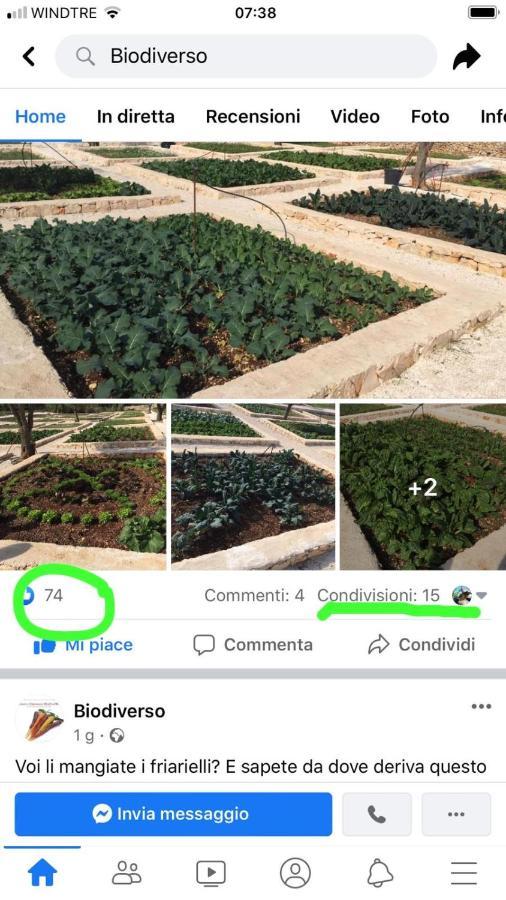 Villa Moresca Dei Trulli Fernando Ostuni Ngoại thất bức ảnh